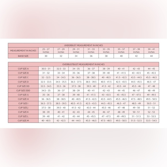 Carrie Amber Intimates Convertible Bras 2 Pack - 42D - Picture 7 of 7